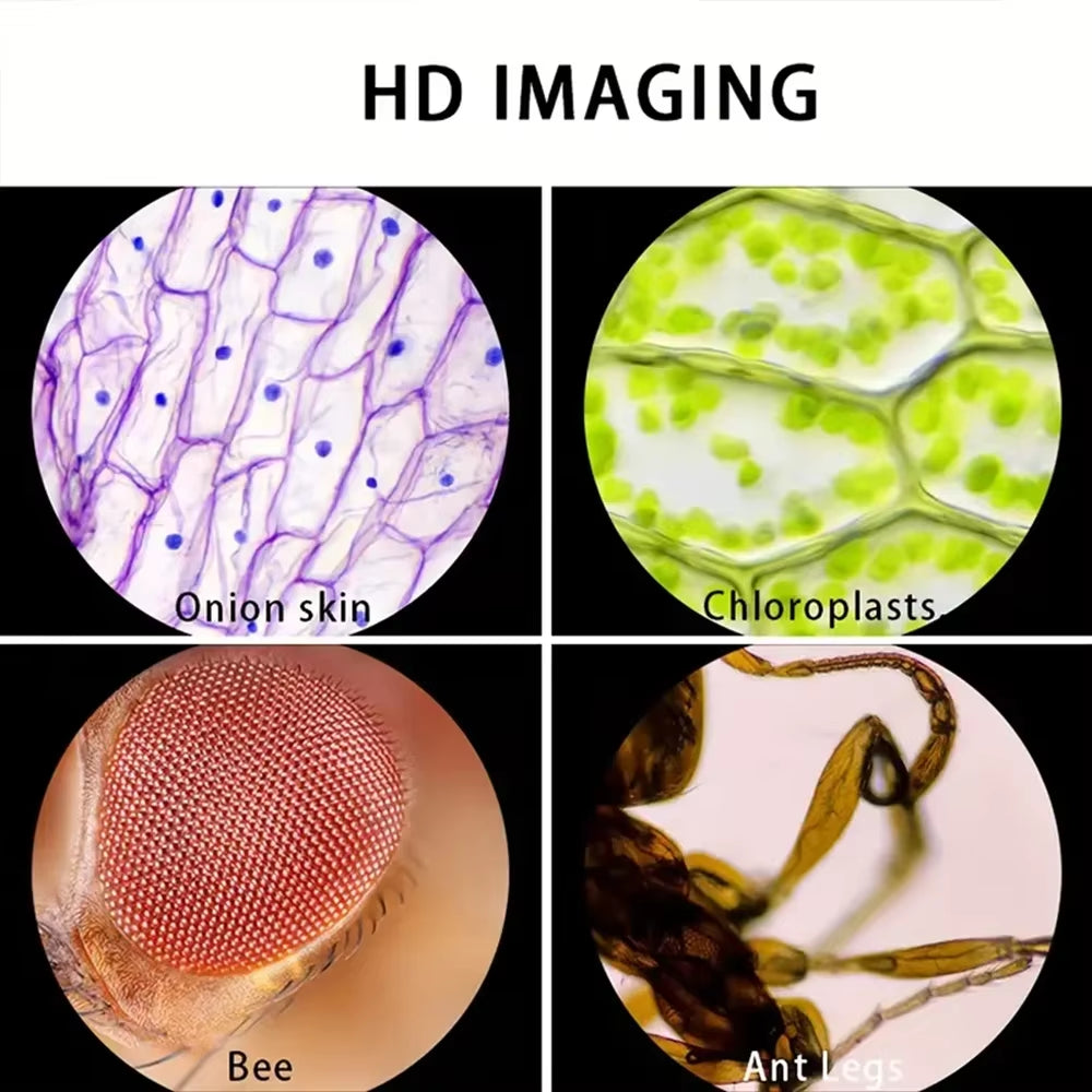 Kids Science Microscope