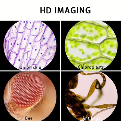 Kids Science Microscope