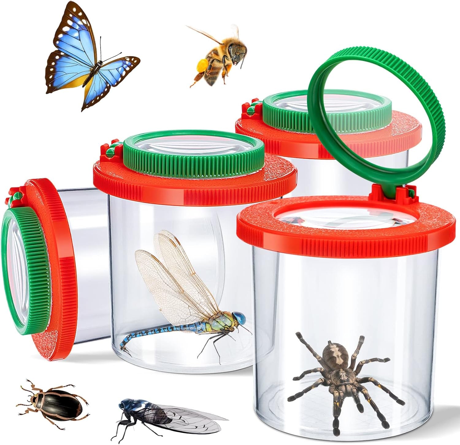 Bug Container With Built in Magnifier 